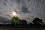 Wolkendecke im Mondlicht - Wolkenstrukturen im Mondlicht